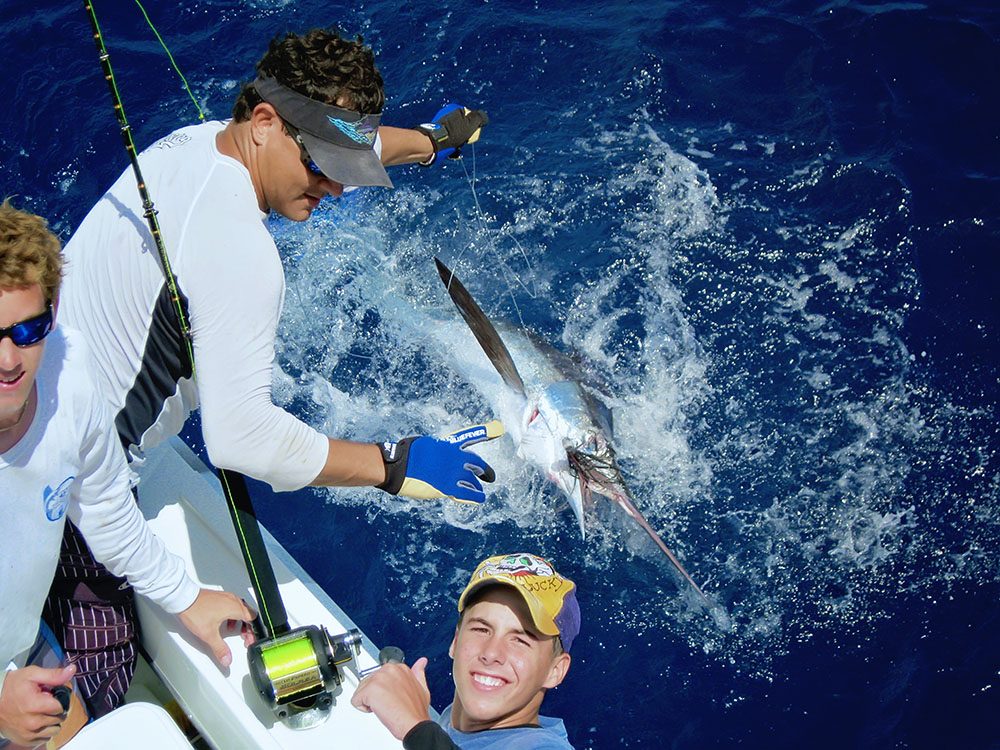 White Marlin Fishing Curaçao